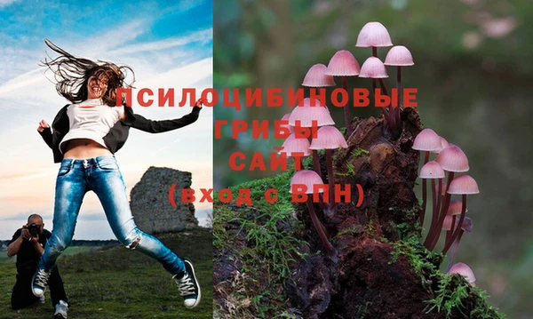 кокс Балабаново