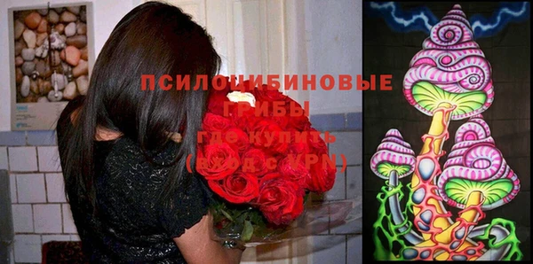 марихуана Баксан